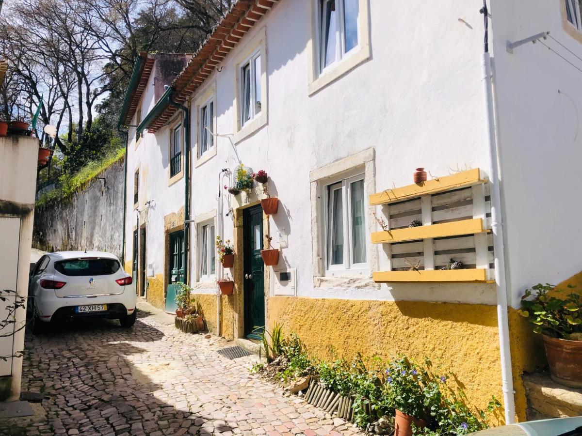 Pe Do Castelo Casinha - Pet Friendly & Garage Tomar Exterior foto